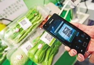 食品信息追溯系統 構建透明供應鏈，賦能消費選擇